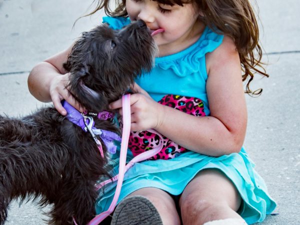 pexels-bin-ziegler-588438-1364756